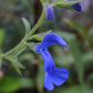 Test5