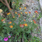 Test5