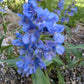 Test5
